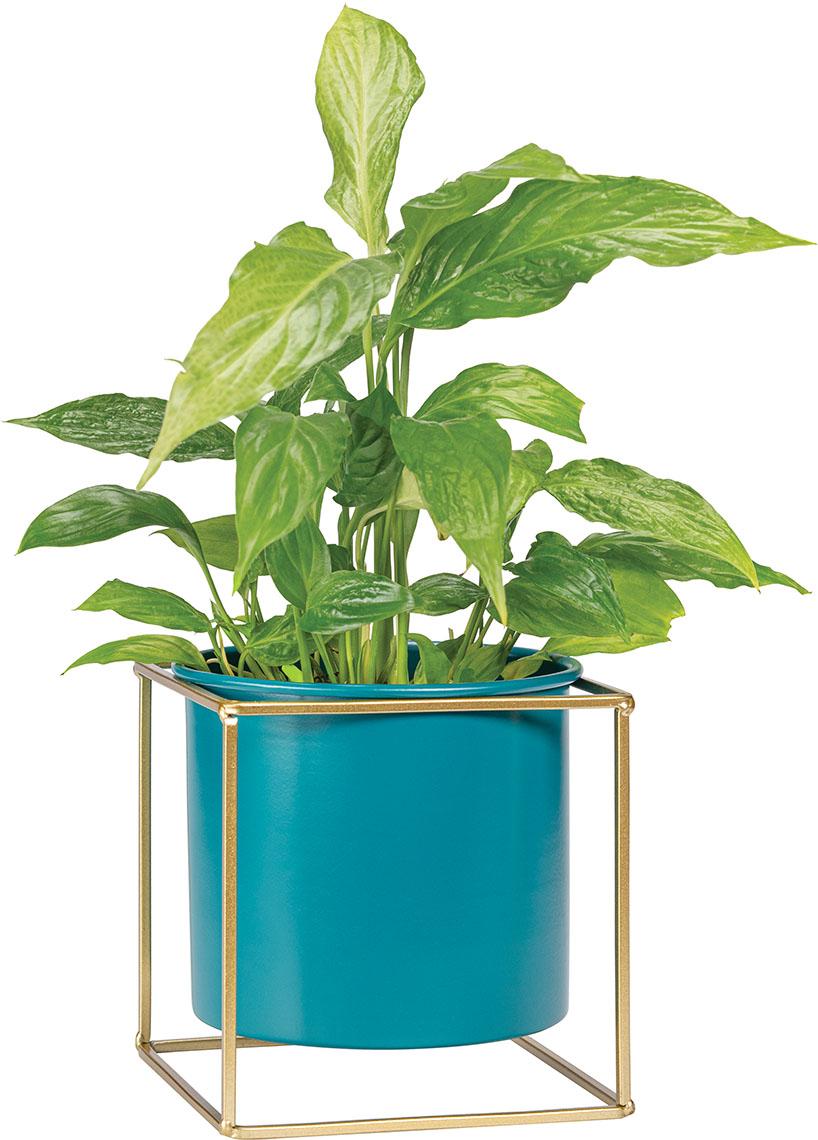 High plant pot Grino