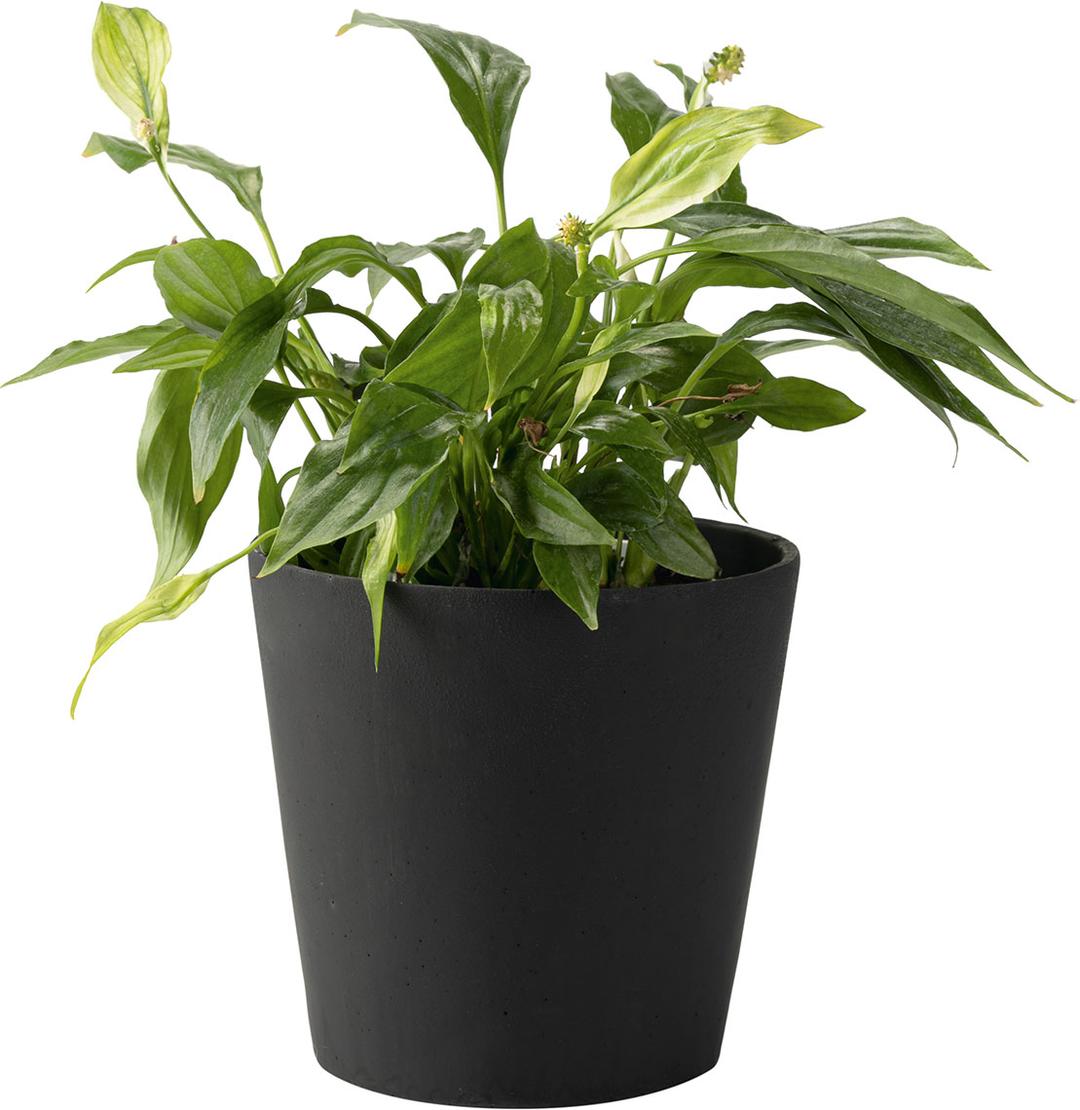 Small plant pot Duno