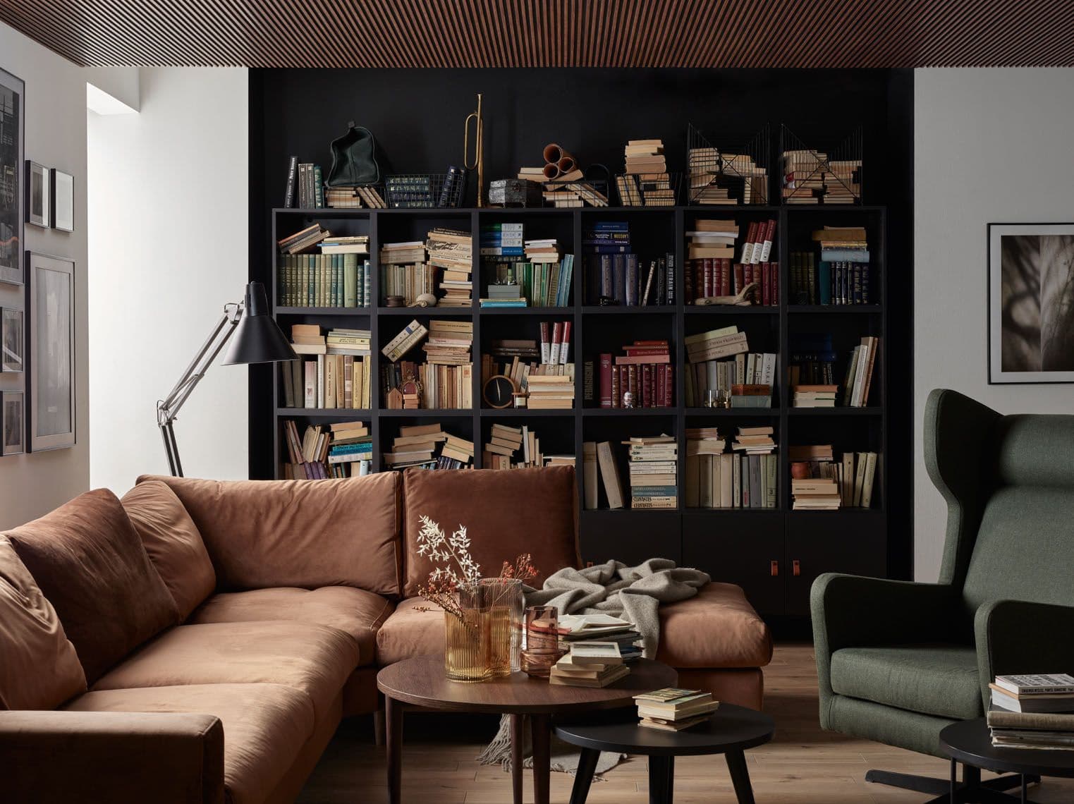 Domowa biblioteczka – urządzamy własną świątynię ciszy