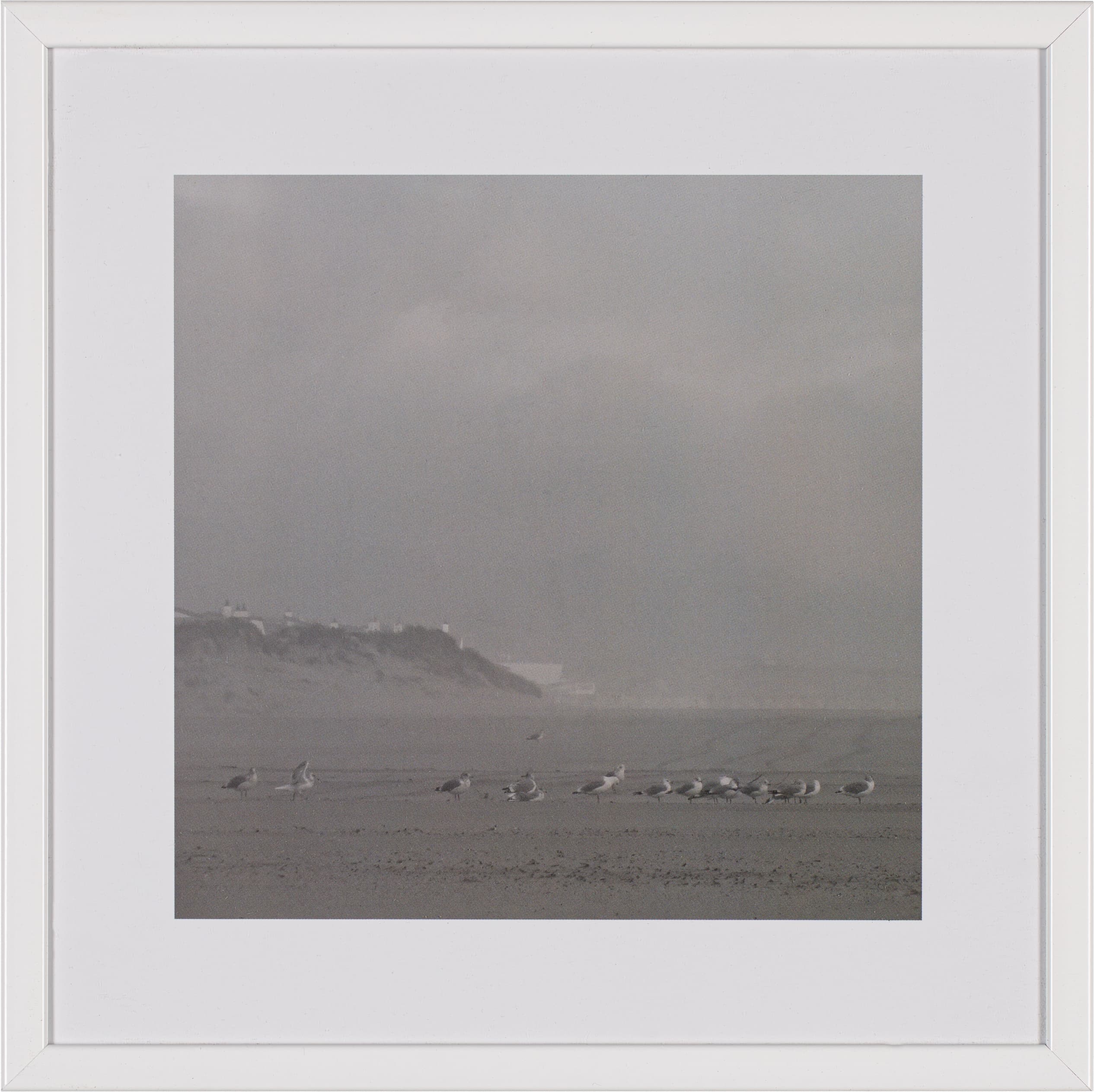 Fotografia Calm III