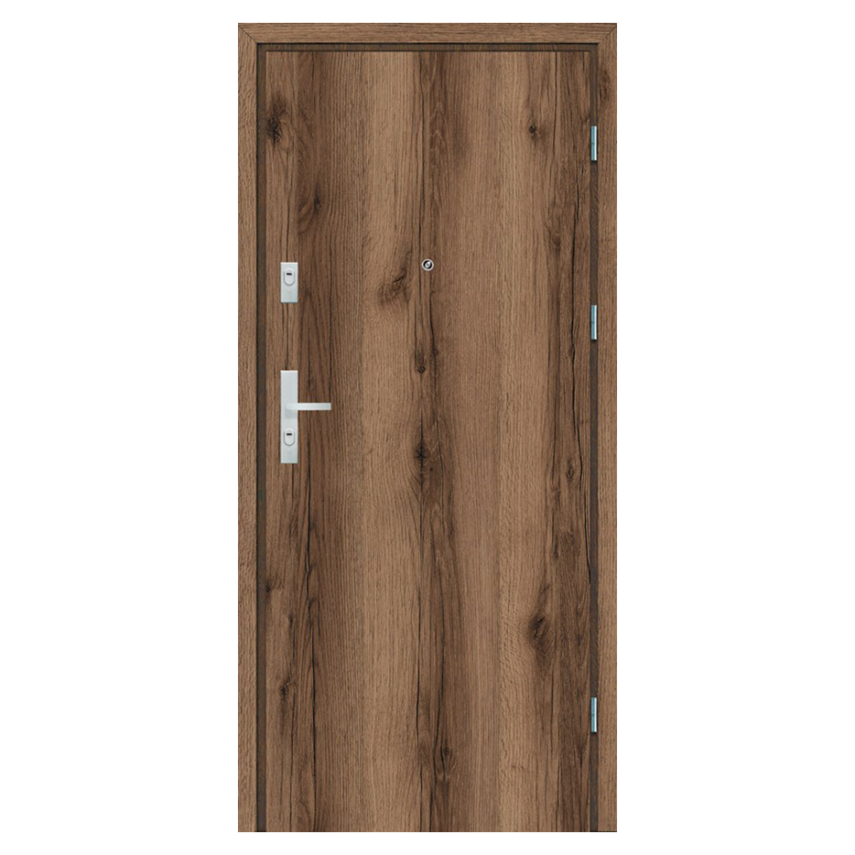 Drzwi wejściowe C-30 W0