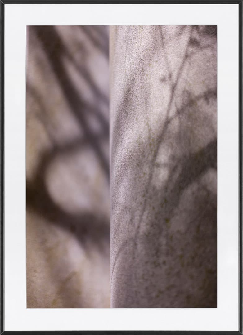 Fotografia Stone Conversation 2
