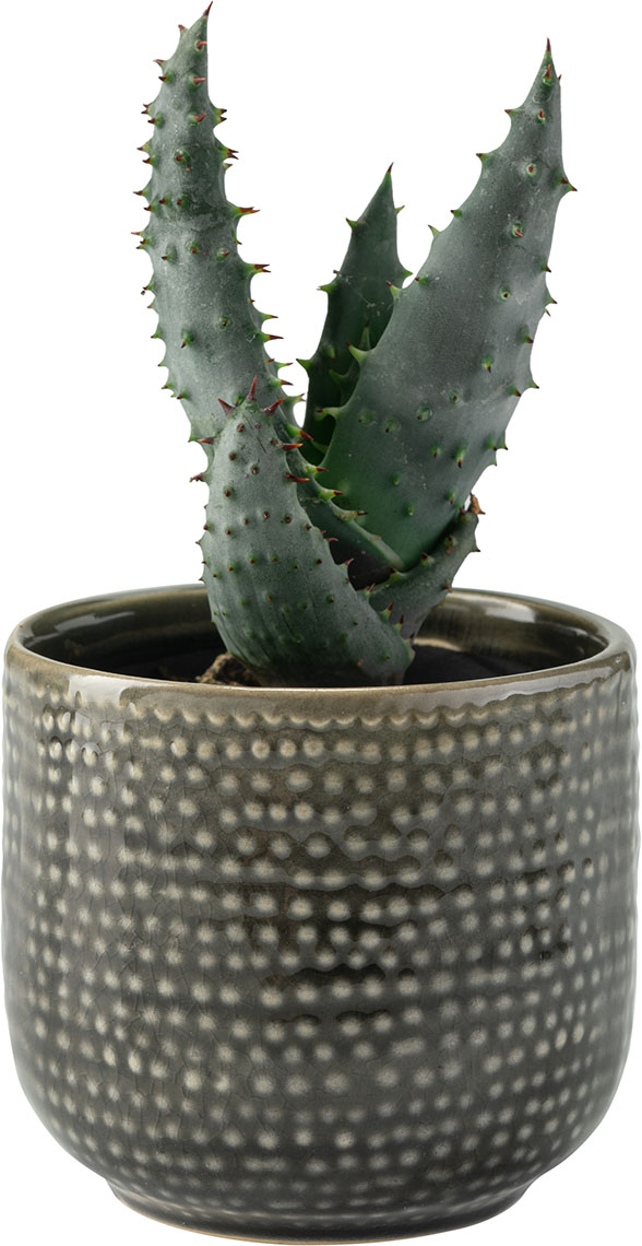 Osłona na doniczkę mała Ligo