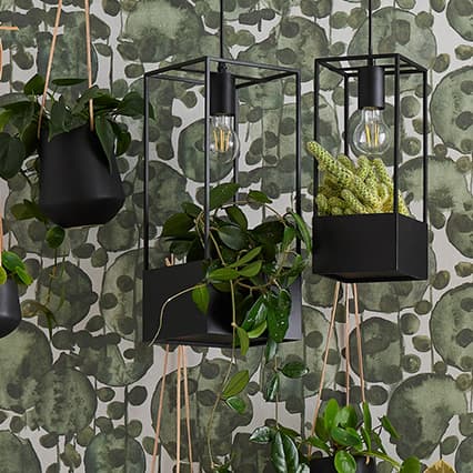 Big pendant lamp Lank arrangement